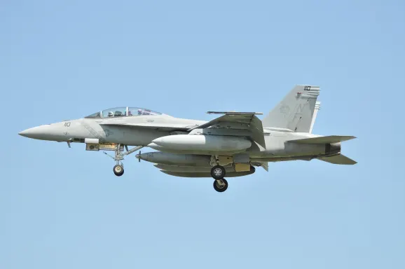 Kaszinó Crypto Wild Támogatás